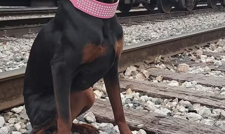 Monclova Park - Maumee, OH