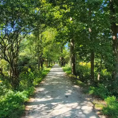 Side Cut Metropark - Maumee, OH