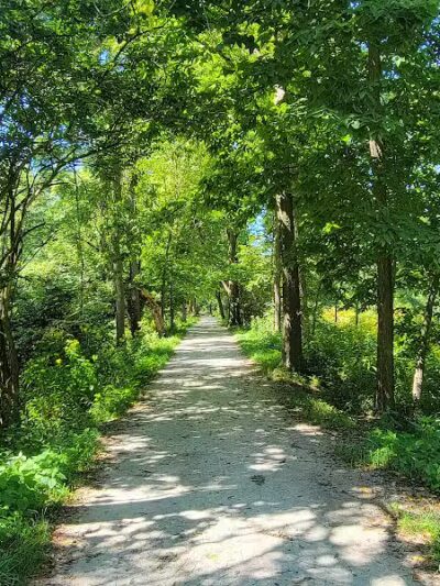 Side Cut Metropark - Maumee, OH