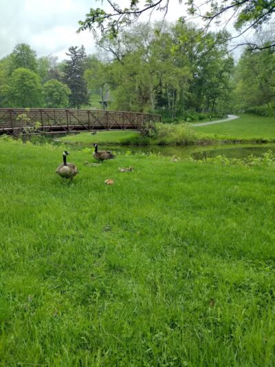 Side Cut Metropark - Maumee, OH