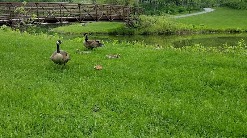 Side Cut Metropark - Maumee, OH