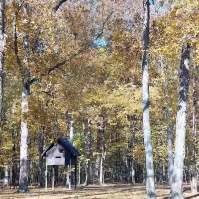 Forest Picnic Area - Mayfield, OH