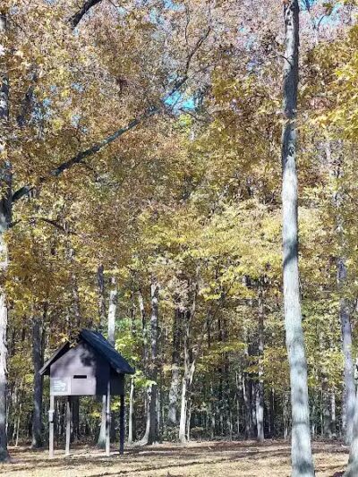 Forest Picnic Area - Mayfield, OH