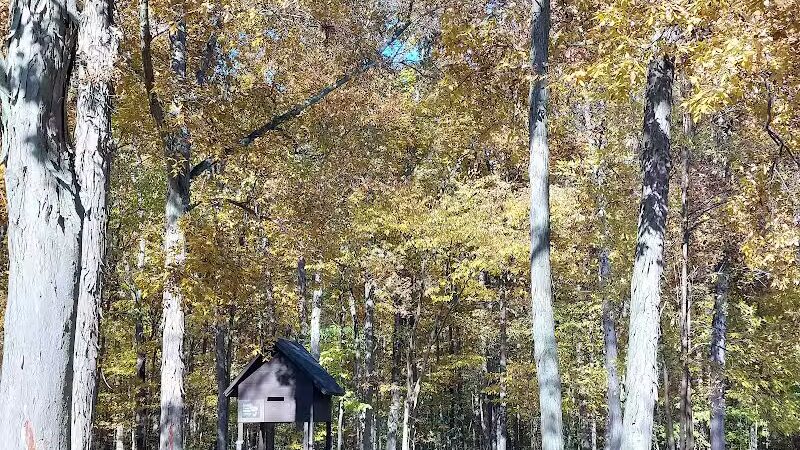Forest Picnic Area - Mayfield, OH