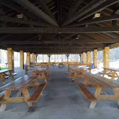 Forest Picnic Area - Mayfield, OH