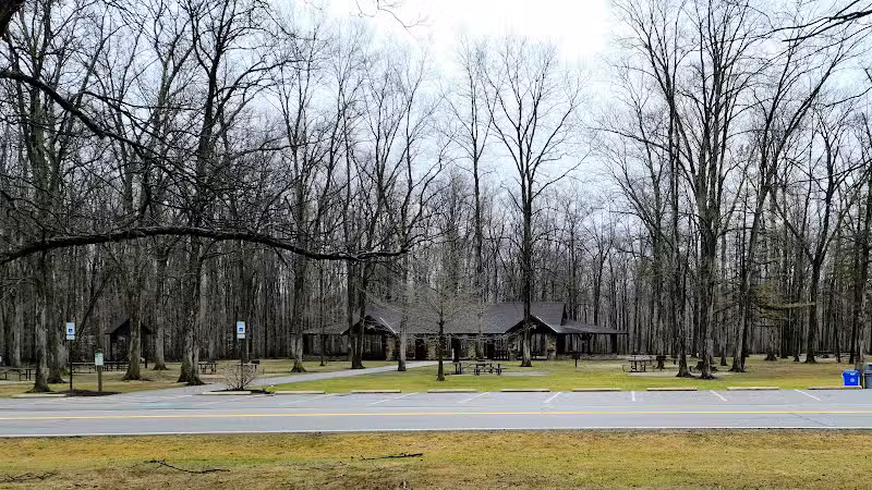 Forest Picnic Area - Mayfield, OH