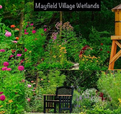 Wetland Preserve Trailhead - Mayfield, OH