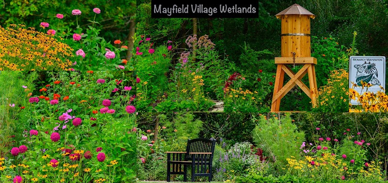 Wetland Preserve Trailhead - Mayfield, OH