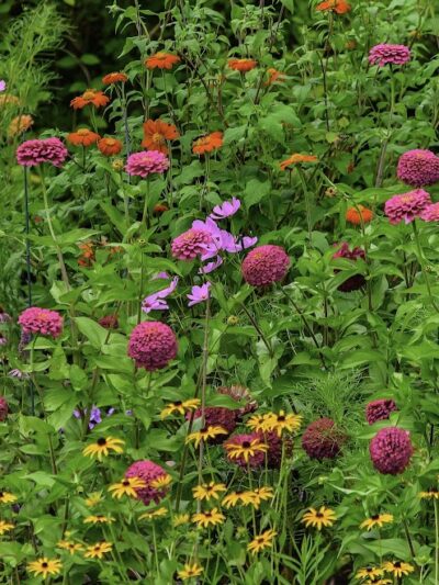 Wetland Preserve Trailhead - Mayfield, OH