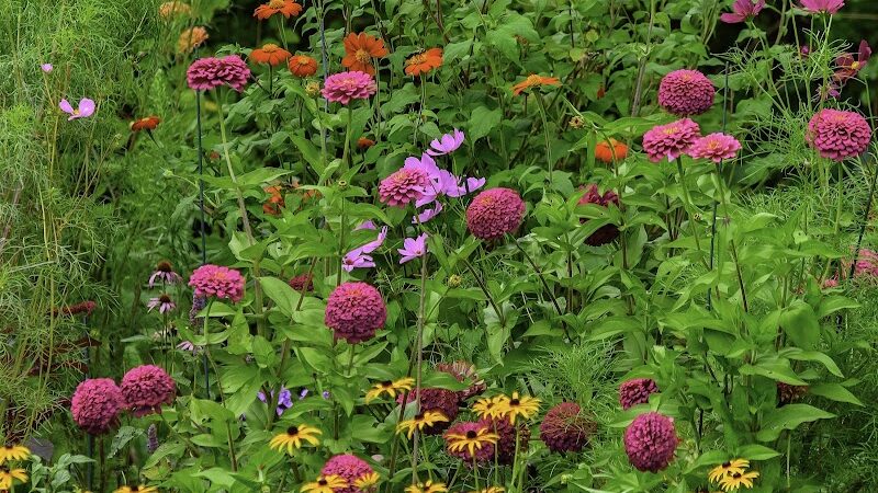 Wetland Preserve Trailhead - Mayfield, OH