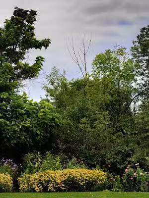 Wetland Preserve Trailhead - Mayfield, OH