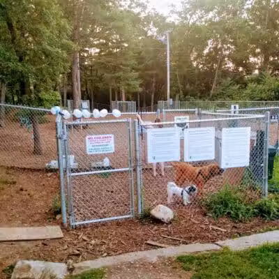 Maynard Dog Park - Maynard, MA