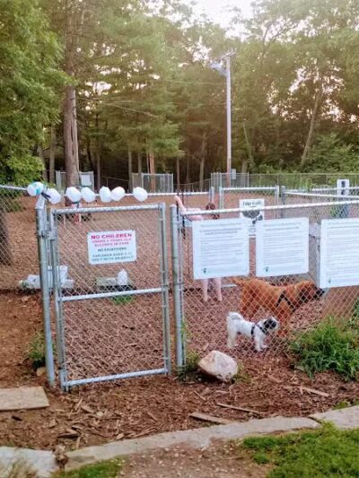 Maynard Dog Park - Maynard, MA