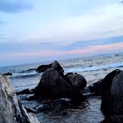 Maynard Dog Park - Maynard, MA