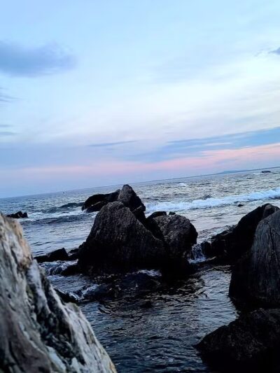 Maynard Dog Park - Maynard, MA