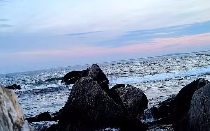 Maynard Dog Park - Maynard, MA