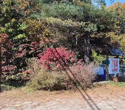 Maynard Dog Park - Maynard, MA