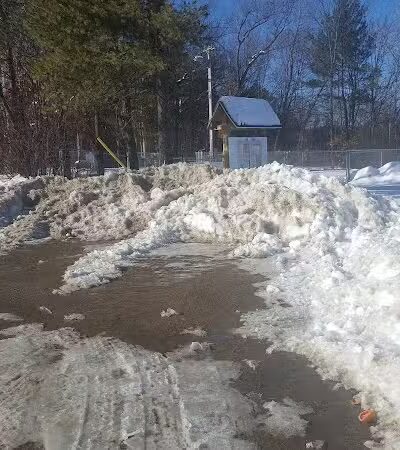 Maynard Dog Park - Maynard, MA