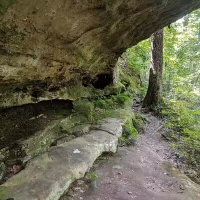 Zaleski State Forest Backpack Trailhead Parking: Selinde Roosenburg Memorial Backpack Trail - McArthur, OH