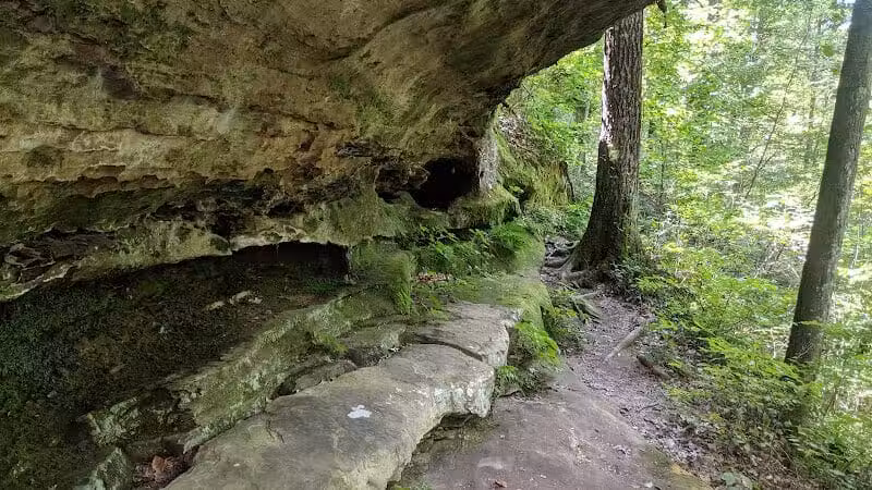 Zaleski State Forest Backpack Trailhead Parking: Selinde Roosenburg Memorial Backpack Trail - McArthur, OH