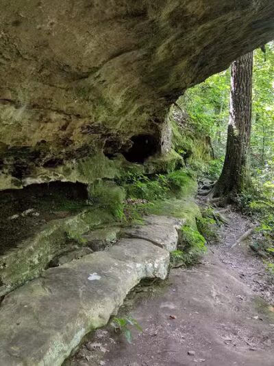 Zaleski State Forest Backpack Trailhead Parking: Selinde Roosenburg Memorial Backpack Trail - McArthur, OH
