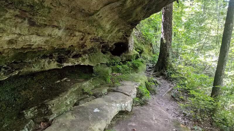 Zaleski State Forest Backpack Trailhead Parking: Selinde Roosenburg Memorial Backpack Trail - McArthur, OH