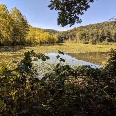 Zaleski State Forest Backpack Trailhead Parking: Selinde Roosenburg Memorial Backpack Trail - McArthur, OH