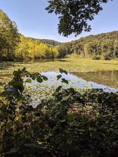 Zaleski State Forest Backpack Trailhead Parking: Selinde Roosenburg Memorial Backpack Trail - McArthur, OH