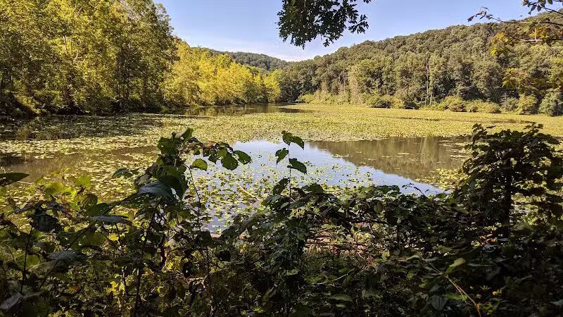 Zaleski State Forest Backpack Trailhead Parking: Selinde Roosenburg Memorial Backpack Trail - McArthur, OH