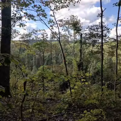 Zaleski State Forest Backpack Trailhead Parking: Selinde Roosenburg Memorial Backpack Trail - McArthur, OH