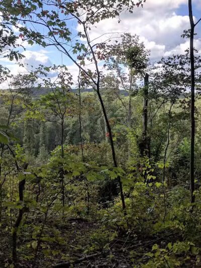 Zaleski State Forest Backpack Trailhead Parking: Selinde Roosenburg Memorial Backpack Trail - McArthur, OH