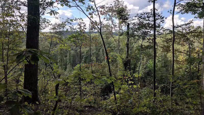 Zaleski State Forest Backpack Trailhead Parking: Selinde Roosenburg Memorial Backpack Trail - McArthur, OH
