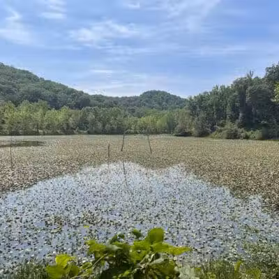 Zaleski State Forest Backpack Trailhead Parking: Selinde Roosenburg Memorial Backpack Trail - McArthur, OH