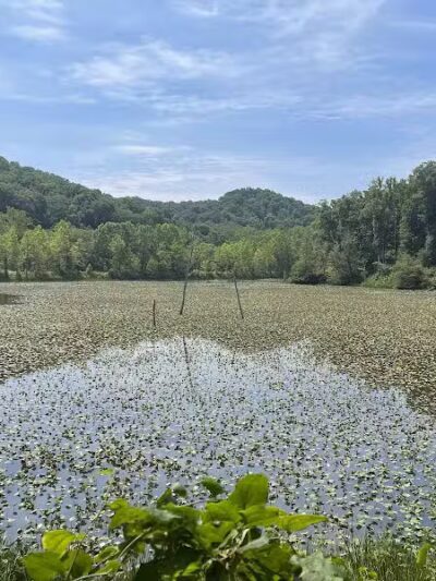 Zaleski State Forest Backpack Trailhead Parking: Selinde Roosenburg Memorial Backpack Trail - McArthur, OH