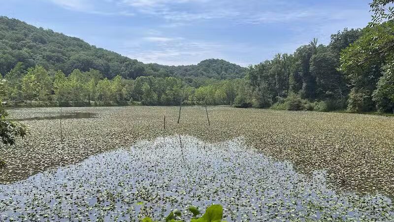 Zaleski State Forest Backpack Trailhead Parking: Selinde Roosenburg Memorial Backpack Trail - McArthur, OH