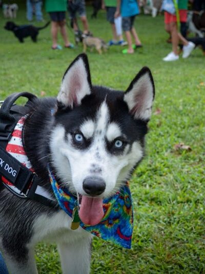 McConnelsville Village Park (The Grove) - McConnelsville, OH