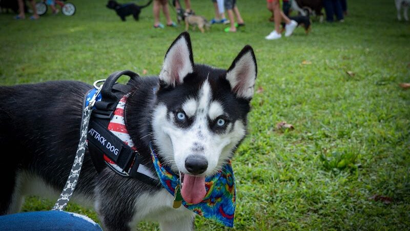 McConnelsville Village Park (The Grove) - McConnelsville, OH