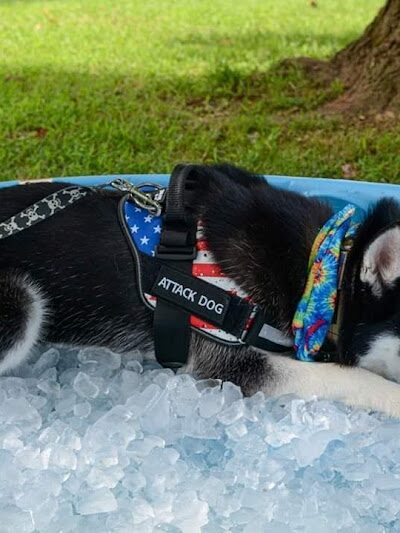 McConnelsville Village Park (The Grove) - McConnelsville, OH