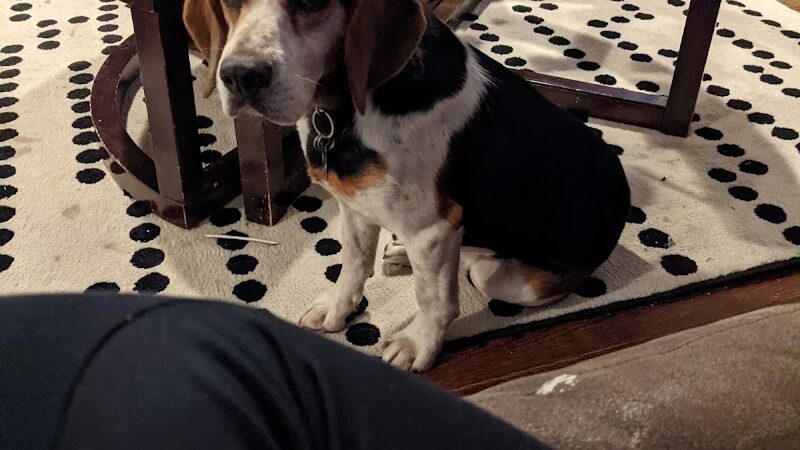 Morgan County Humane Society - McConnelsville, OH