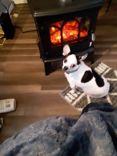 Morgan County Humane Society - McConnelsville, OH