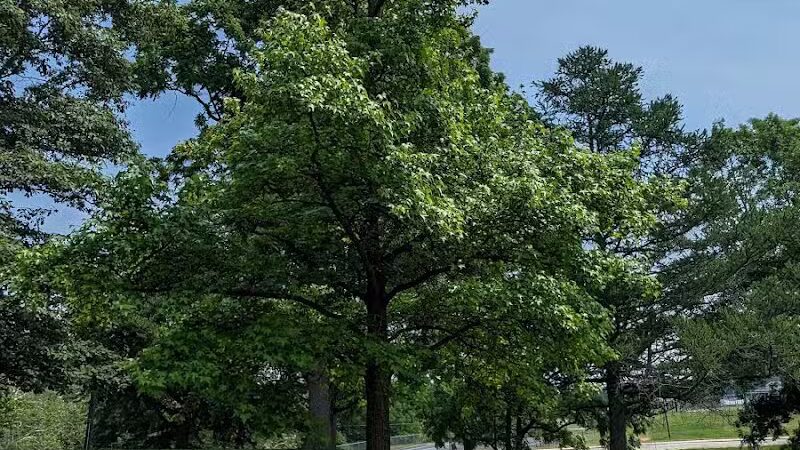 Goshen Memorial Park - Mechanicsburg, OH