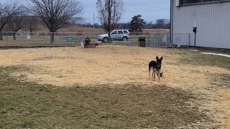 Medina Dog Park - Medina, NY