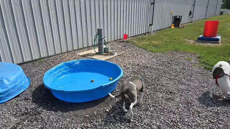 Medina Dog Park - Medina, NY