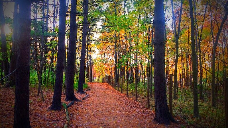 Carolyn Ludwig Mugrage Park - Medina, OH