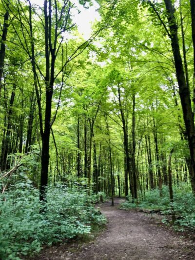 Carolyn Ludwig Mugrage Park - Medina, OH