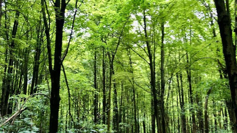 Carolyn Ludwig Mugrage Park - Medina, OH