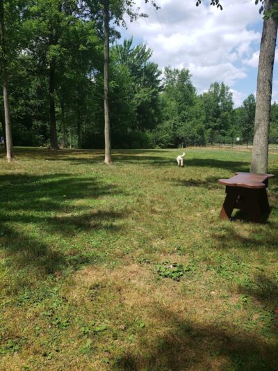 Carolyn Ludwig Mugrage Park - Medina, OH