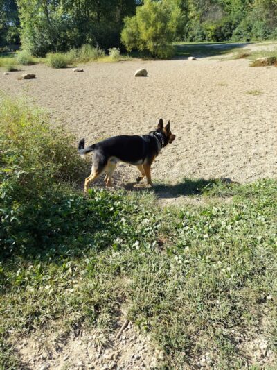 Carolyn Ludwig Mugrage Park - Medina, OH