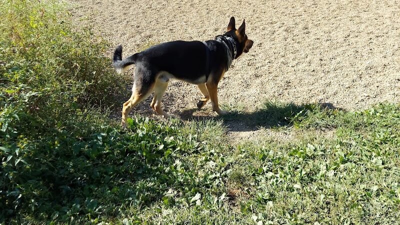 Carolyn Ludwig Mugrage Park - Medina, OH
