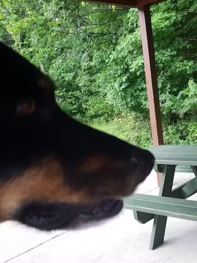 Jaycee Park - Medina, OH